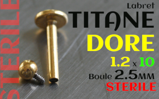 Labret Titane Dore 1.2 x 10 - boule 2.5 mm STERILE