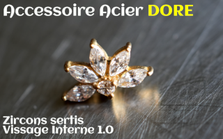 Accessoire Acier Dore - vissage interne - zircons cristal sertis