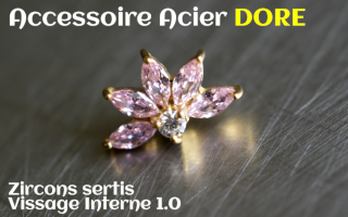 Accessoire Acier Dore - vissage interne - zircons sertis