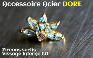 Accessoire Acier Dore - vissage interne - zircons sertis