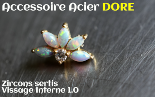 Accessoire Acier Dore - vissage interne - opals sertis