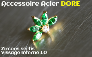Accessoire Acier Dore - vissage interne - zircons sertis