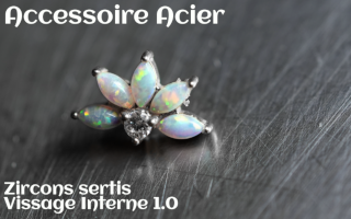 Accessoire Acier - vissage interne - opales serties