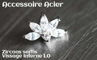 Accessoire Acier - vissage interne - zircons sertis