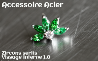 Accessoire Acier - vissage interne - zircons sertis