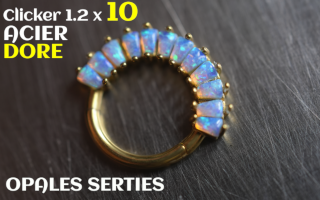 Clicker 1.2 x 10 - Acier dore - opales serties
