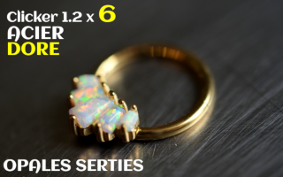 Clicker 1.2 x 6 - Acier dore - opales serties