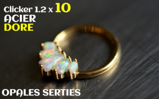 Clicker 1.2 x 10 - Acier dore - opales serties