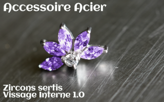Accessoire Acier - vissage interne - zircons sertis