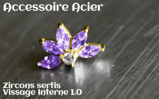 Accessoire Acier Dore - vissage interne - zircons sertis