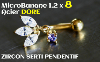 Banane 1.2 x 8 - Acier dore - zircons sertis amethyste pendentif