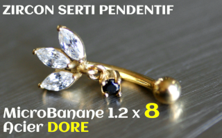 Banane 1.2 x 8 - Acier dore - zircons sertis noir pendentif