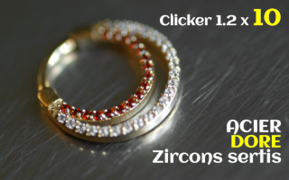 Clicker 1.2 x 10 Acier Dore - zircons sertis