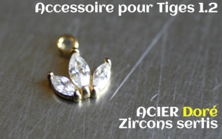 Accessoiore Acier Doré pedentif 1.2 - zircons sertis
