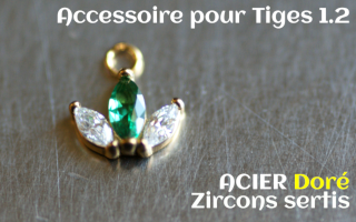 Accessoiore Acier Doré pedentif 1.2- zircons sertis