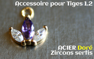 Accessoiore Acier Doré pedentif 1.2- zircons sertis