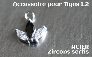 Accessoiore Acier pedentif 1.2- zircons sertis
