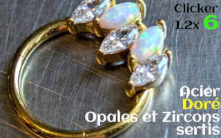 clicker 1.2 x 6 Acier Dore Zircons et opales sertis