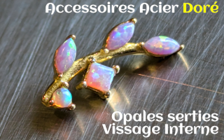 Accessoire Acier Dore opales serties - vissage interne 1.0