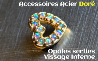 Accessoire Acier Dore opales serties - vissage interne 1.0