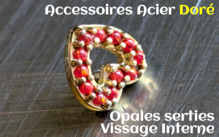 Accessoire Acier Dore opales serties - vissage interne 1.0
