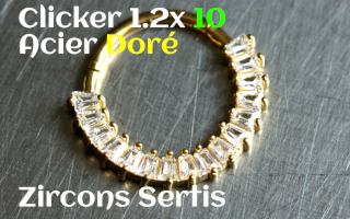 clicker 1.2 x 10 Acier Dore Zircons sertis
