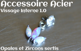Accessoire Acier opales et zircons sertis - vissage interne 1.0