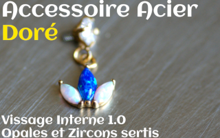 Accessoire Acier Dore opales et zircons sertis - vissage interne 1.0