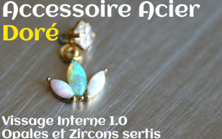 Accessoire Acier Dore opales et zircons sertis - vissage interne 1.0