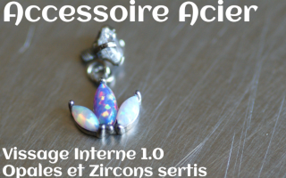 Accessoire Acier opales et zircons sertis - vissage interne 1.0