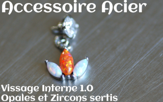 Accessoire Acier opales et zircons sertis - vissage interne 1.0