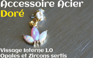 Accessoire Acier Dore opales et zircons sertis - vissage interne 1.0