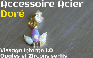 Accessoire Acier Dore opales et zircons sertis - vissage interne 1.0
