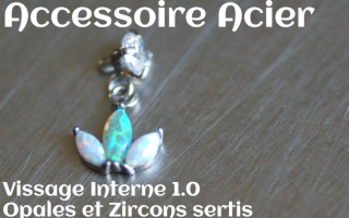 Accessoire Acier opales et zircons sertis - vissage interne 1.0