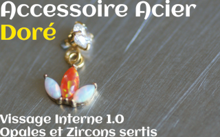Accessoire Acier Dore opales et zircons sertis - vissage interne 1.0