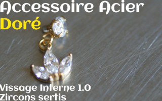 Accessoire Acier Dore opales et zircons sertis - vissage interne 1.0