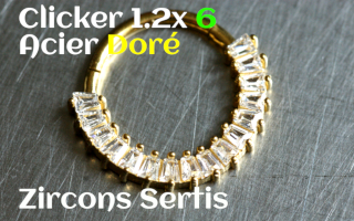 clicker 1.2 x 6 Acier Dore Zircons sertis