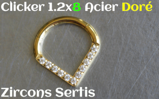 clicker 1.2 x 8 Acier Dore Zircons sertis