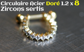 Circulaire Acier Dore 1.2 x 8 - zircon sertis