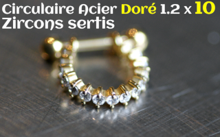 Circulaire Acier Dore 1.2 x 10 - zircon sertis