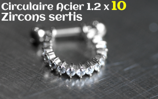 Circulaire Acier 1.2 x 10 - zircon sertis