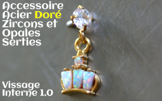 Accessoire Acier Dore - opales et zircons sertis - vissage interne 1.0