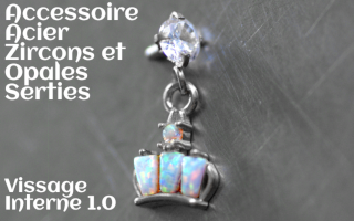 Accessoire Acier - opales et zircons sertis - vissage interne 1.0