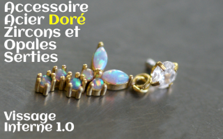 Accessoire Acier Dore - opales et zircons sertis - vissage interne 1.0