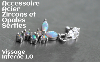 Accessoire Acier - opales et zircons sertis - vissage interne 1.0