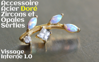 Accessoire Acier Dore - opales et zircons sertis - vissage interne 1.0