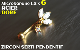 Banane 1.2 x 6 - Acier dore - zircons sertis irise pendentif