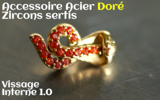 Accessoires Acier Dore zircon serti