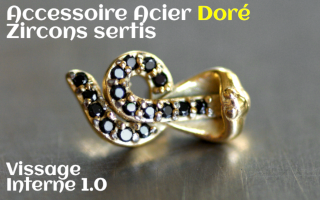 Accessoires Acier Dore zircon serti