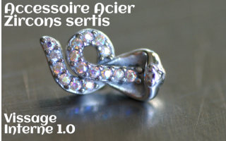 Accessoires Acier zircon serti